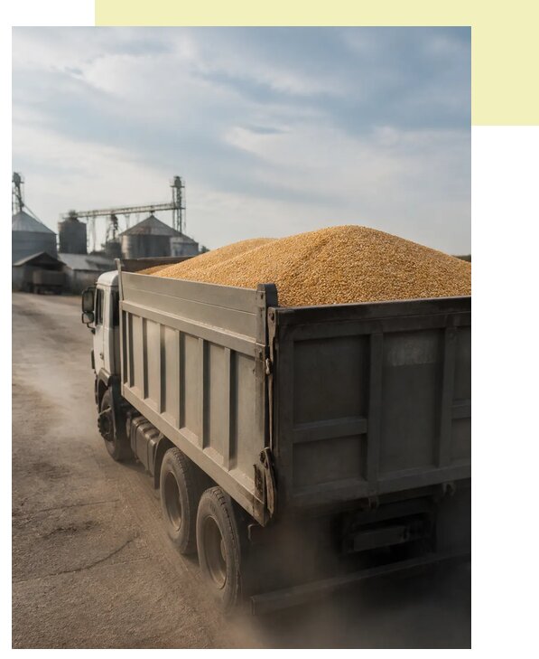 Перевозка сельхозпродукции навалом в Луховицы по цене от 3104 р. | Агросервис-Лхв